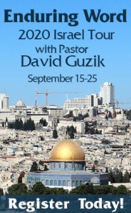 Israel with David Guzik